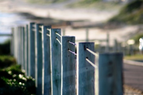 fence at the beach